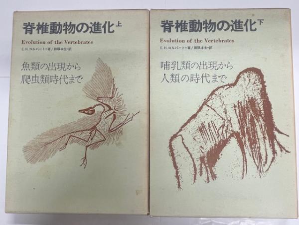 アイヌ絵集成 | 高倉新一郎 | nostos books ノストスブックス