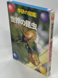 世界の昆虫