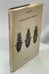 Carabus Europa und Nordafrika