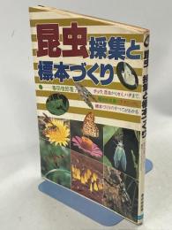 昆虫-採集と標本づくり
