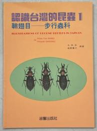 認識台湾的昆虫1　鞘翅目　歩行虫科