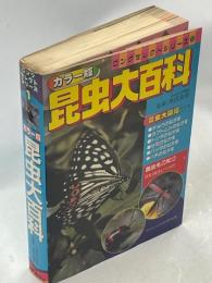 昆虫大百科 : カラー版