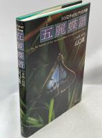 五麗蝶譜 : シジミチョウとアリの共棲