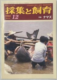 採集と飼育52巻12号　特集・ナマズ