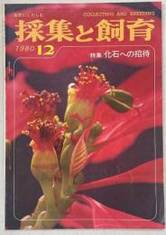 採集と飼育42巻12号　特集・化石への招待