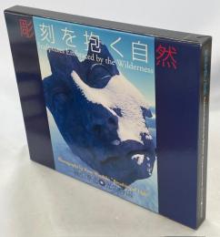 彫刻を抱く自然　光の呼吸