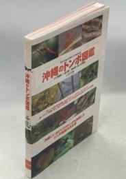 沖縄のトンボ図鑑