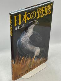 日本の鷲鷹