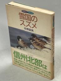 雪国のスズメ