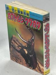 カブトムシ・クワガタ : 飼い方と採集作戦