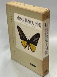 原色台湾蝶類大図鑑