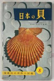 日本の貝