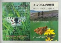 モンゴルの蝶類