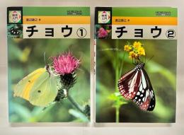 検索入門チョウ