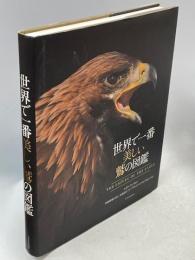 世界で一番美しい鷲の図鑑
