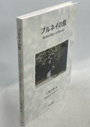 ブルネイの蝶