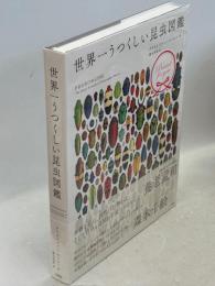 世界一うつくしい昆虫図鑑