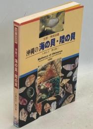 沖縄の海の貝・陸の貝 : 生態/検索図鑑