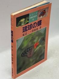 琉球の蝶