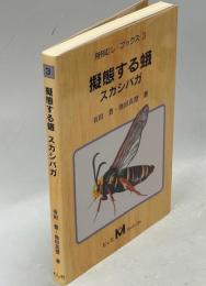擬態する蛾スカシバガ