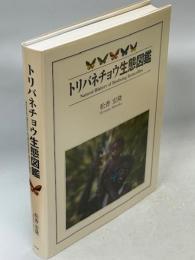 トリバネチョウ生態図鑑