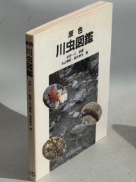 原色川虫図鑑