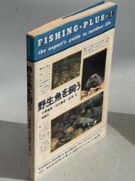 野生魚を飼う