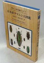 日本産タマムシ大図鑑