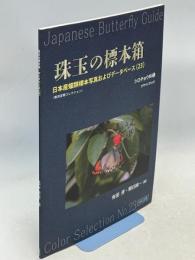 珠玉の標本箱 日本産蝶類標本写真およびデータベース(23)シロチョウ科②ツマベニチョウ