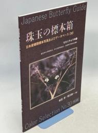 珠玉の標本箱 日本産蝶類標本写真およびデータベース(30)セセリチョウ科①ホシチャバネセセリ、チャマダラセセリ、オガサワラセセリほか