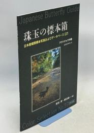 珠玉の標本箱 日本産蝶類標本写真およびデータベース(27)アゲハチョウ科⑦日本列島孤島嶼のアキリデス　カラスアゲハ2