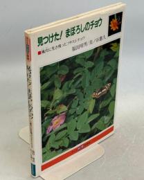 見つけた!まぼろしのチョウ : 風穴に生き残ったフタスジチョウ