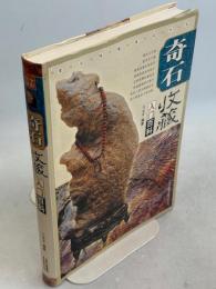 奇石収蔵入門百科