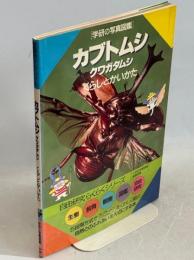 カブトムシクワガタムシ : くらしとかいかた