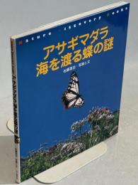 アサギマダラ海を渡る蝶の謎