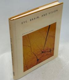 Eye, Brain, and Vision