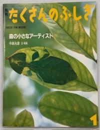 森の小さなアーティスト
