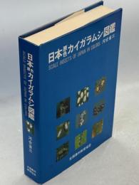 日本原色カイガラムシ図鑑