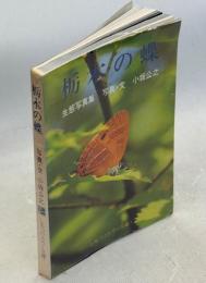 栃木の蝶 : 生態写真集