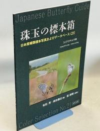 珠玉の標本箱 日本産蝶類標本写真およびデータベース(21)シジミチョウ科⑫シルビアシジミ・ヤマトシジミ