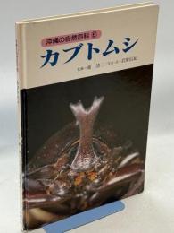 カブトムシ