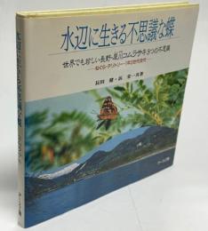 水辺に生きる不思議な蝶 : 世界でも珍しい長野・犀川コムラサキの不思議 ねぐら・テリトリー・1年3世代交代