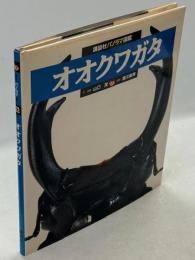 オオクワガタ