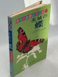 茨城の蝶