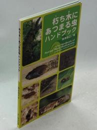朽ち木にあつまる虫ハンドブック