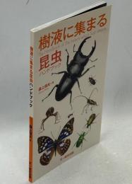 樹液に集まる昆虫ハンドブック