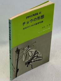 チョウの形態 : 同定のための基礎知識