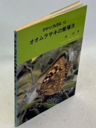 オオムラサキの繁殖法
