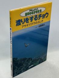渡りをするチョウ : アサギマダラのふしぎ