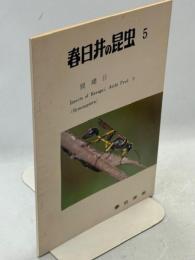 春日井の昆虫5　膜翅目